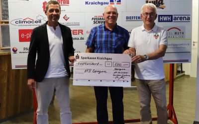 Jugendarbeit mit System – Vortrag für Sportkreis Sinsheim