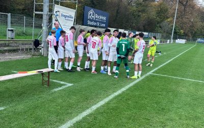 U17 Frauen TSG Hoffenheim – U15 VfB 0:0