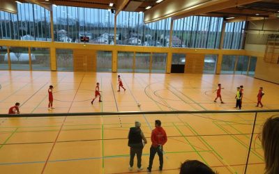 Spielbericht zum Hallenspieltag in Gemmingen