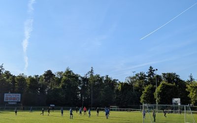 Sensationelles Remis gegen Favoriten aus Hoffenheim