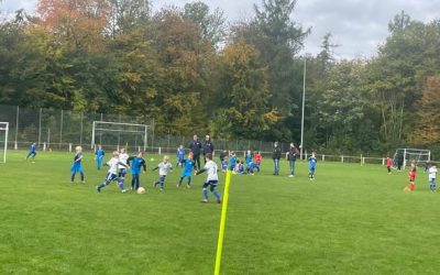 Erfolgreiches Bambini- und F-Jugend-Spielfest bei der SG Kirchardt