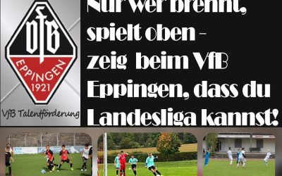 Schnuppertraining ein voller Erfolg