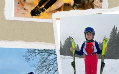 Voller Erfolg der Weihnachtsaktion